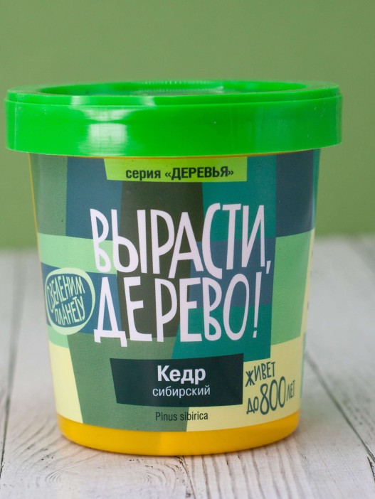 Набор для выращивания &quot;Кедр сибирский&quot; 