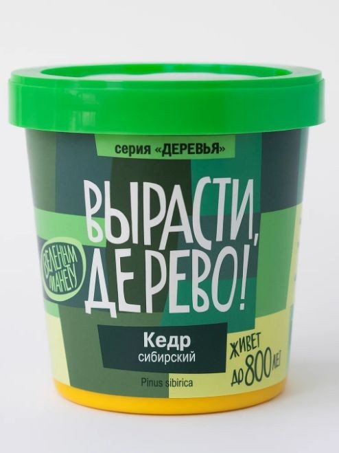 Набор для выращивания &quot;Кедр сибирский&quot; 