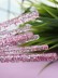 Набор кистей для макияжа &quot;Gleaming Rose&quot;, 7 кистей 