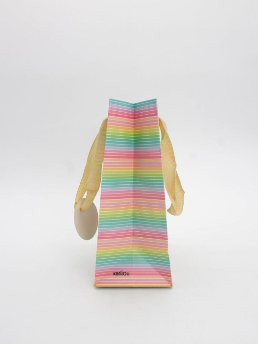 Пакет подарочный «Rainbow Gift», horizontal (18*23*10) 