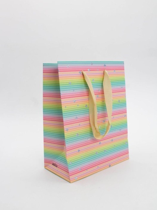 Пакет подарочный «Rainbow Gift», horizontal (18*23*10) 