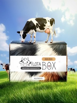 MilotaBox "Корова Бокс"