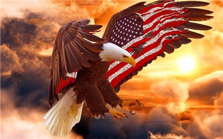 Алмазная мозаика без подрамника &quot;Орёл&quot;, 30х40 см 