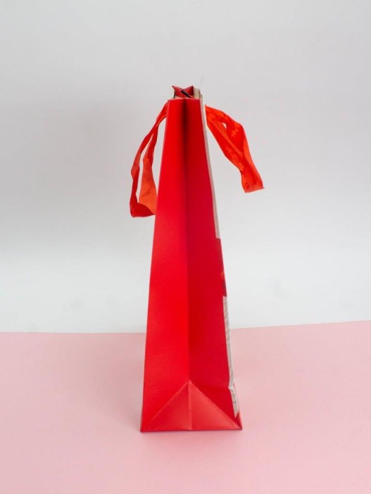 Подарочный пакет (L) &quot;Holiday surprise&quot;, (26*32*10 см) 