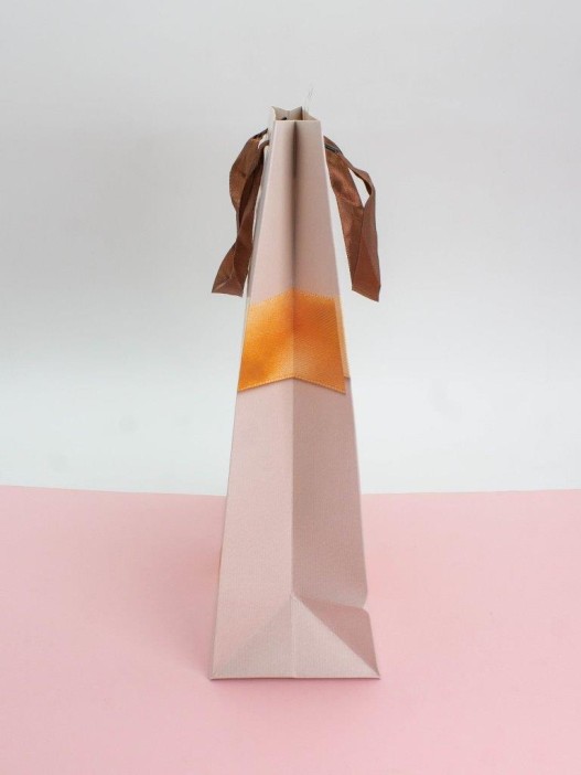 Подарочный пакет (L) &quot;Holiday surprise&quot;, (26*32*10 см) 