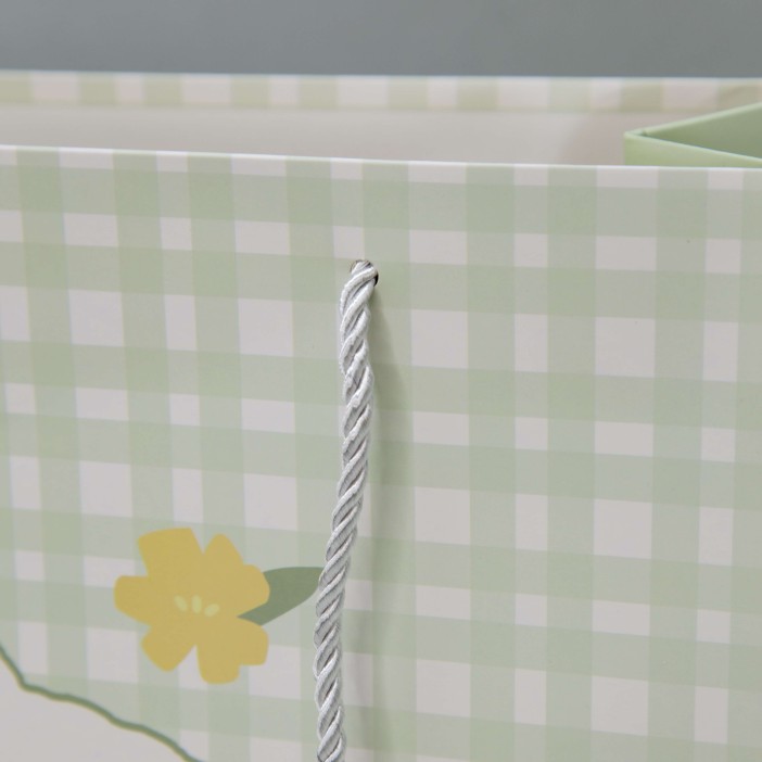 Пакет подарочный (S) "Hare lies cell", green (24.5*20*9.5) 