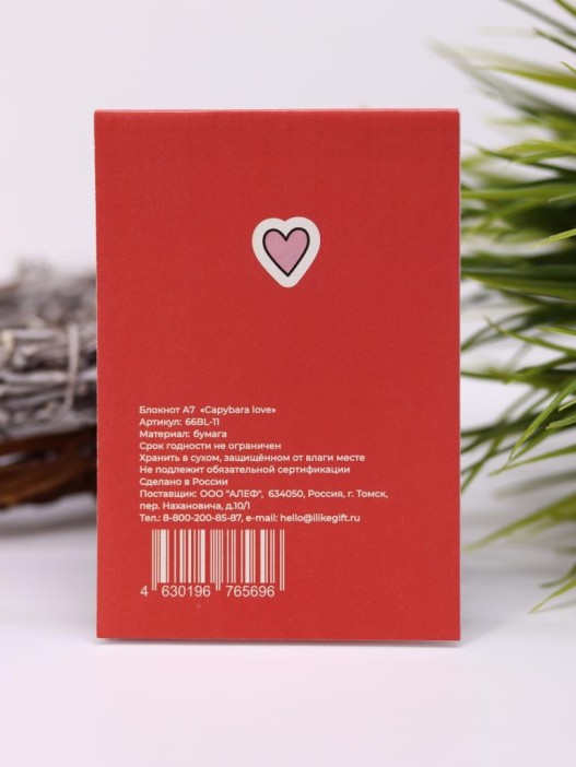 Блокнот А7 «Capybara love» 