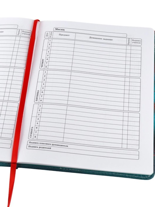 Дневник школьный для 1-11 классов в обложке из эко-кожи &quot;Аниме&quot;, 48 л 