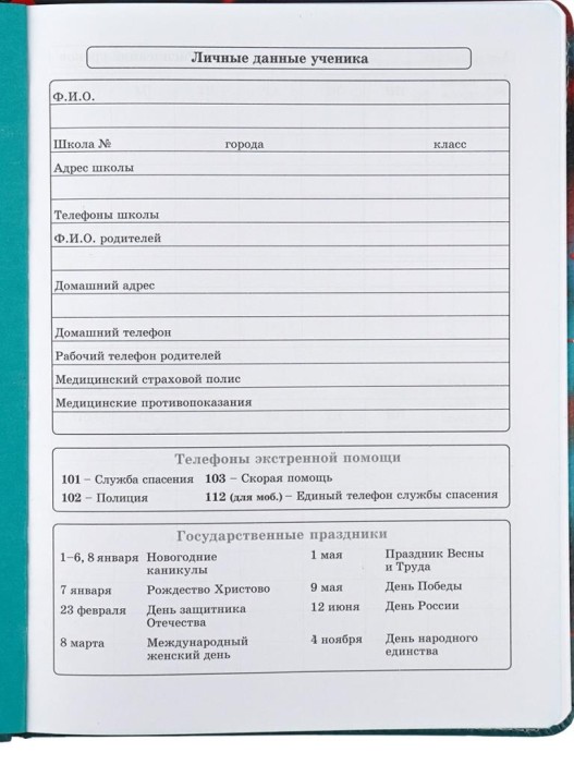 Дневник школьный для 1-11 классов в обложке из эко-кожи &quot;Аниме&quot;, 48 л 