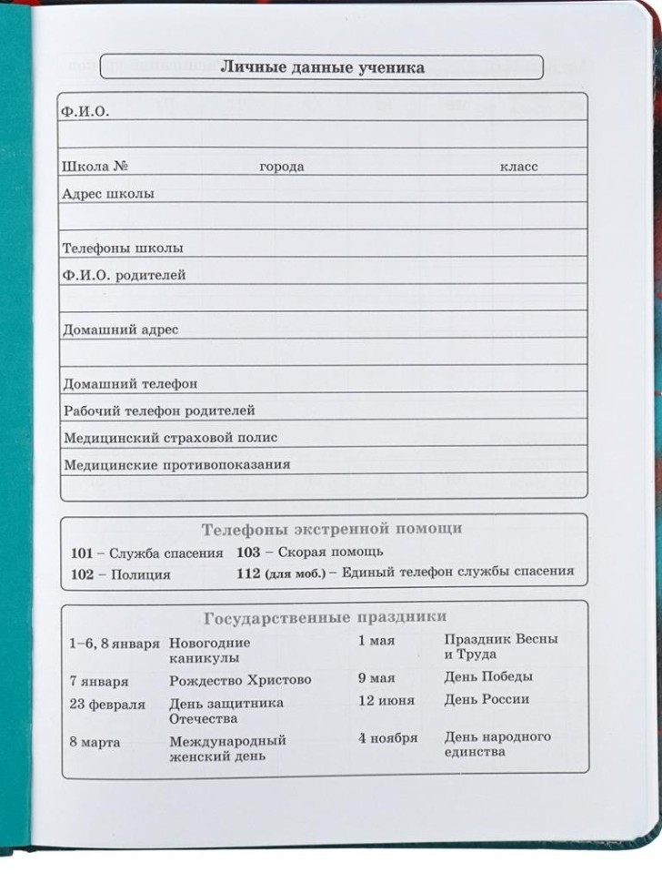 Дневник школьный для 1-11 классов в обложке из эко-кожи "Аниме", 48 л