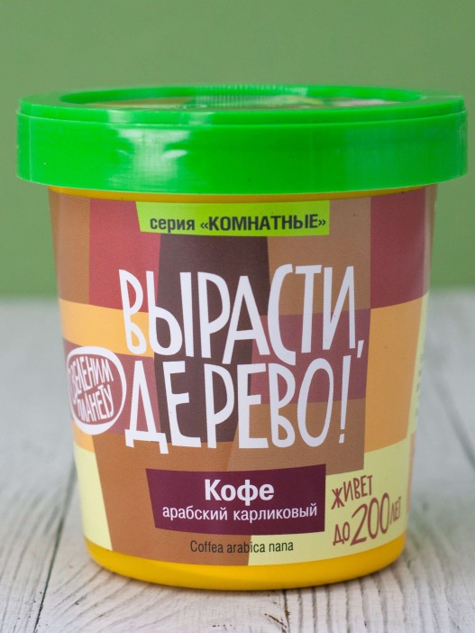 Набор для выращивания &quot;Кофе арабский&quot; 