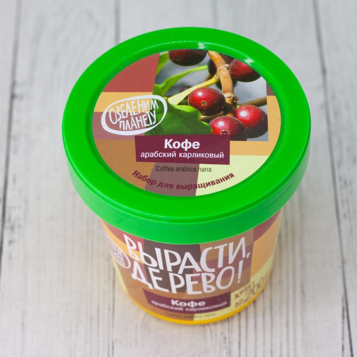 Набор для выращивания &quot;Кофе арабский&quot; 