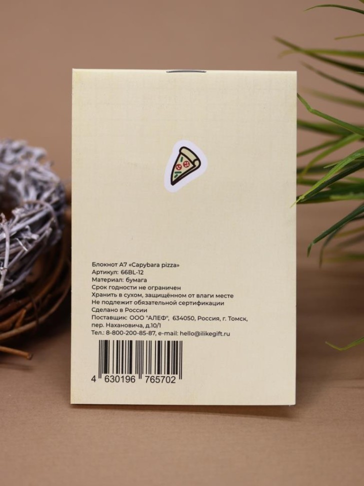 Блокнот А7 «Capybara pizza»
