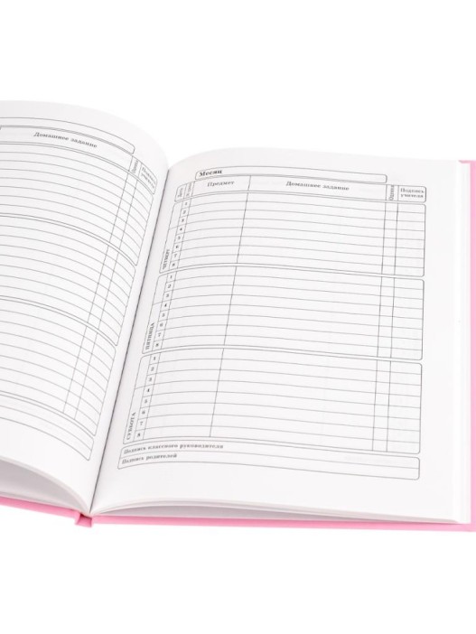 Дневник школьный для 1-11 классов &quot;Капибара с зонтом&quot;, 40л (22,3x17,5 см) 