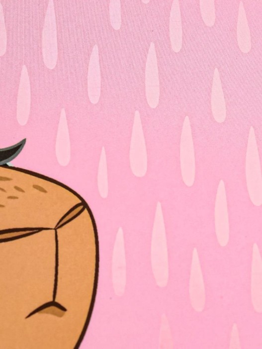 Дневник школьный для 1-11 классов &quot;Капибара с зонтом&quot;, 40л (22,3x17,5 см) 