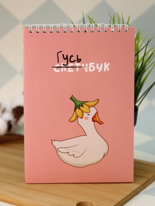 Скетчбук DRAW ME! «Прекрасный гусь», 14х20 см,  плотность 100 гр 