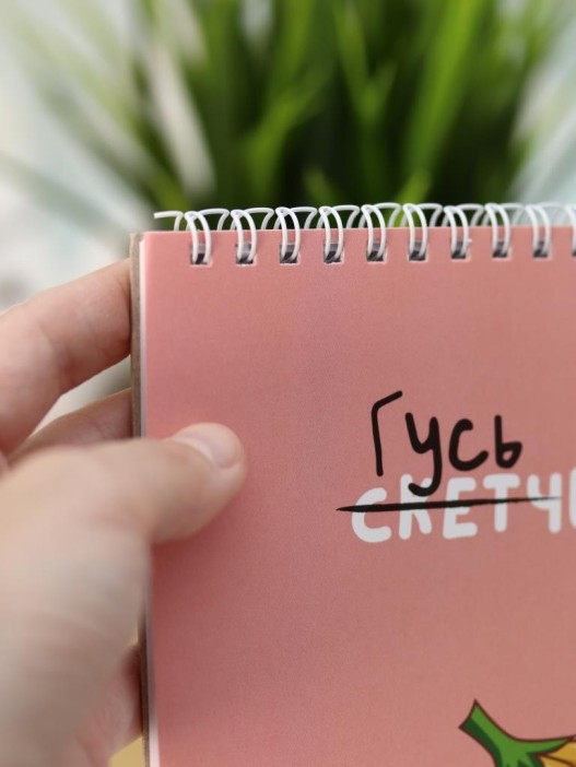 Скетчбук DRAW ME! «Прекрасный гусь», 14х20 см,  плотность 100 гр 