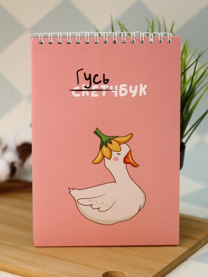 Блокнот для зарисовок DRAW ME! "Прекрасный гусь", 14х20 см, плотность 100 гр
