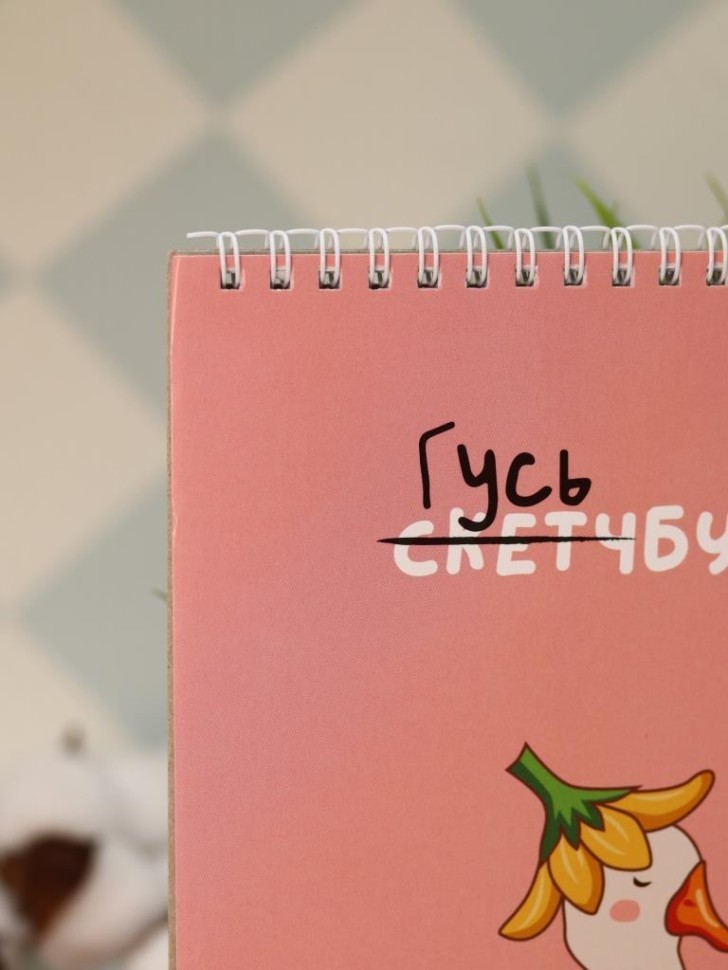 Блокнот для зарисовок DRAW ME! "Прекрасный гусь", 14х20 см, плотность 100 гр