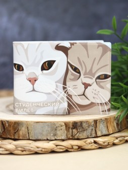 Обложка для студенческого «Sweet pair»