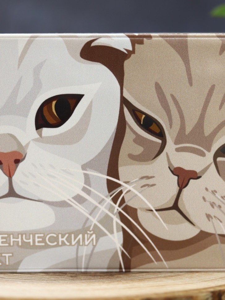 Обложка для студенческого "Сладкая парочка"