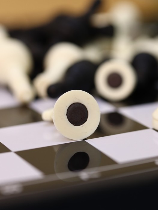 Игра настольная "Шахматы магнитные", 30*30 см 