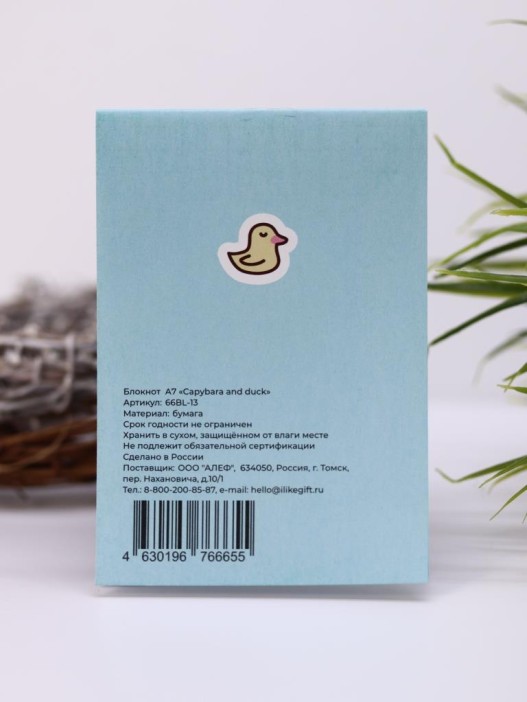 Блокнот А7 «Capybara and duck» 