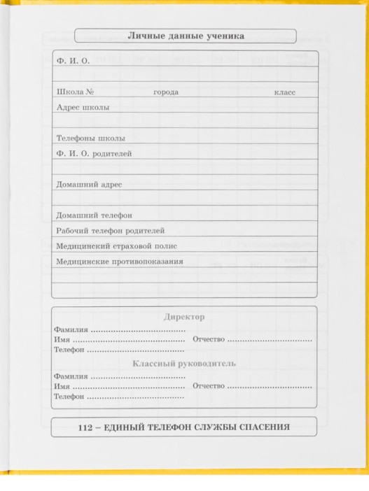 Дневник школьный для 1-11 классов на резинке &quot;Капибара-художник&quot; 40л (22,3x17,4 см) 