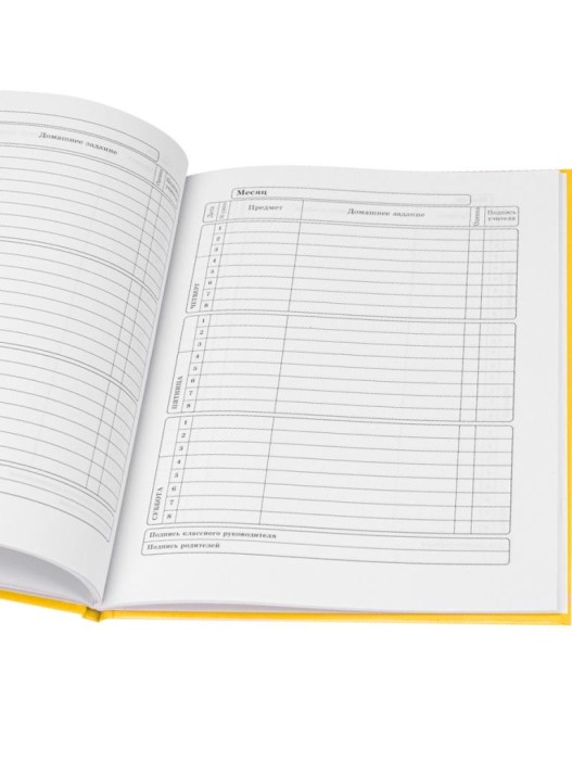 Дневник школьный для 1-11 классов на резинке &quot;Капибара-художник&quot; 40л (22,3x17,4 см) 