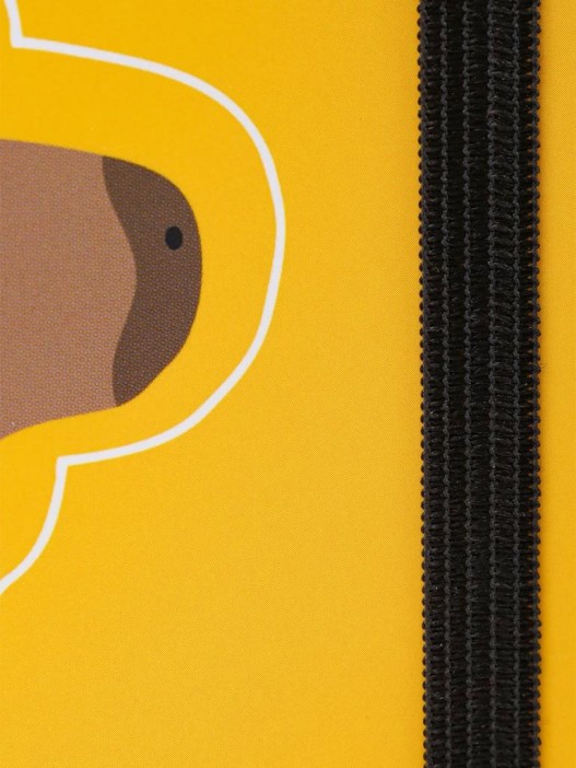 Дневник школьный для 1-11 классов на резинке &quot;Капибара-художник&quot; 40л (22,3x17,4 см) 