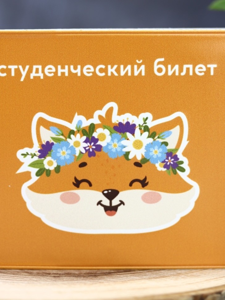 Обложка для студенческого "Летняя лиса"