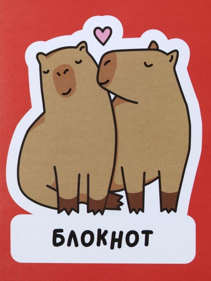 Блокнот А6 "Влюбленная капибара"