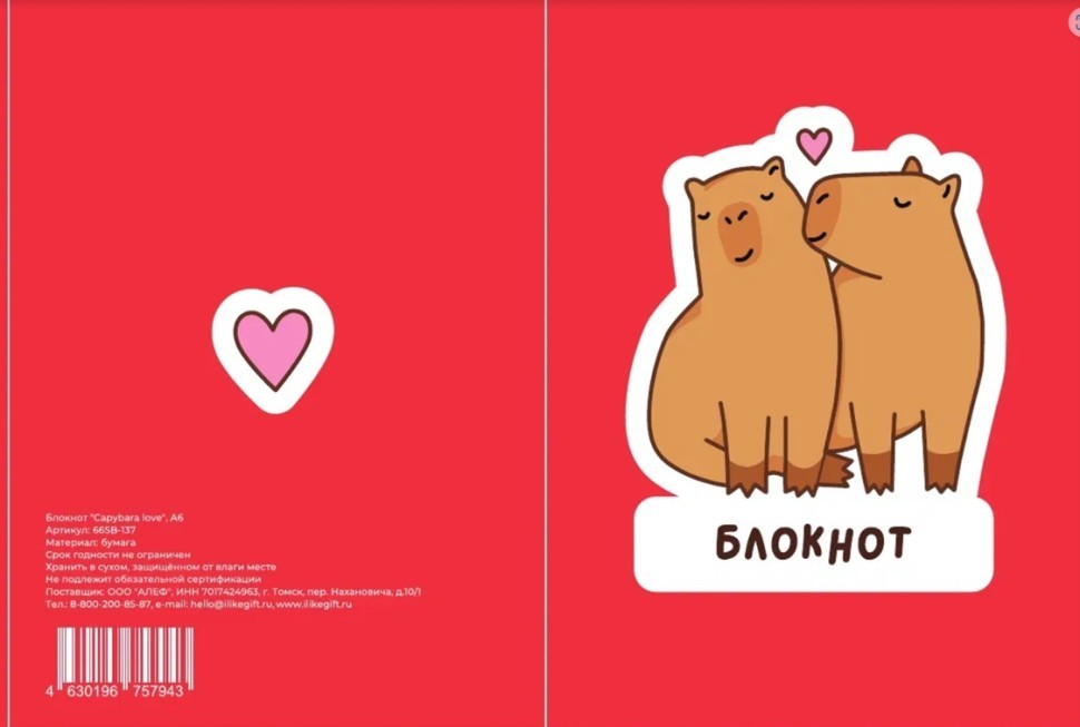 Блокнот А6 "Влюбленная капибара"
