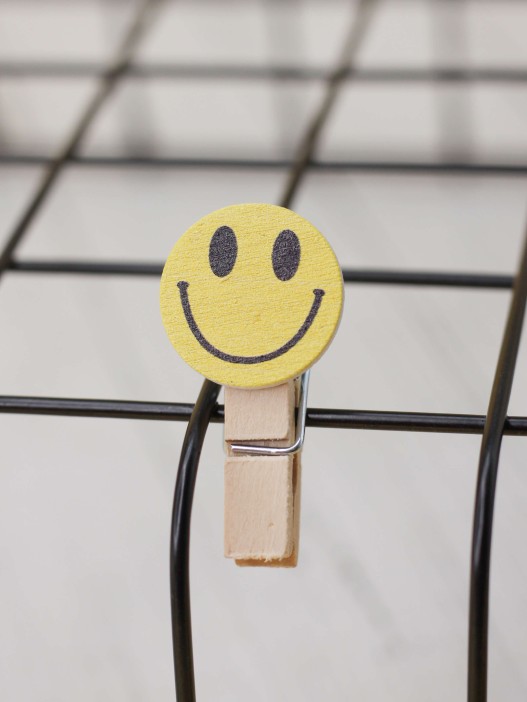 Прищепки "Smilies", mix color 