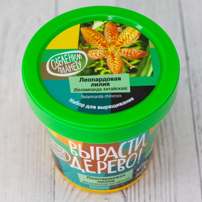 Набор для выращивания "Леопардовая лилия" 