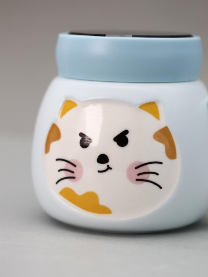 Кружка «Emotions of a cat», light blue (420 ml)