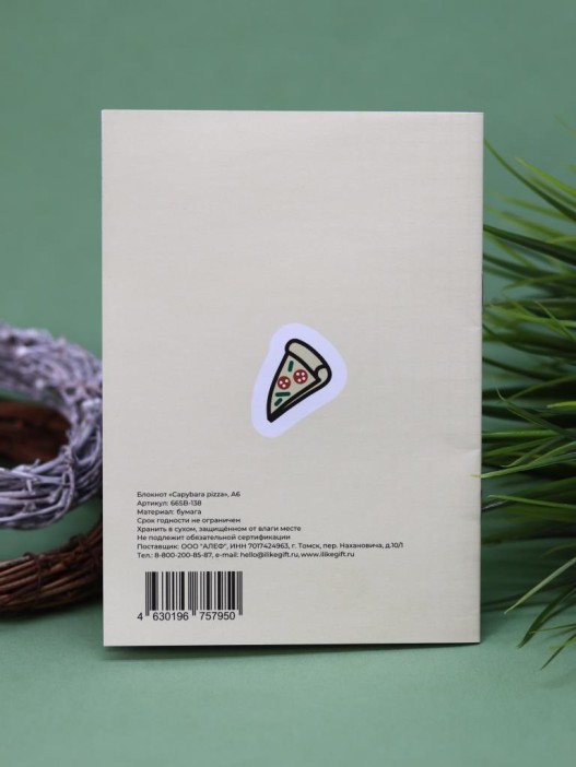 Блокнот А6 «Capybara pizza», 