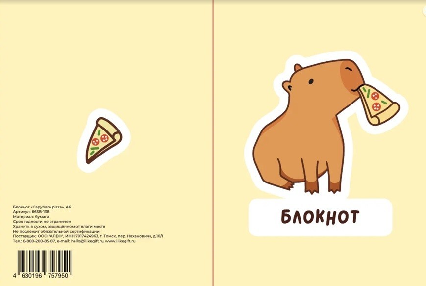 Блокнот А6 "Капибара с пиццей",