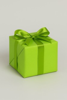 Пленка матовая однотонная двухсторонняя салатовая 48см*10м±5% 50мкр