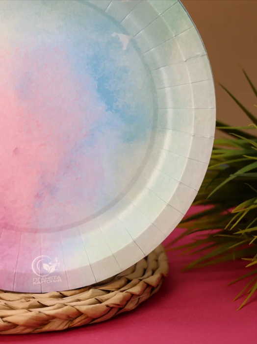 Набор бумажных тарелок 6 шт. "Радуга" (230 мм) 