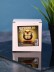 Ночник 3D iLikeGift "Бабочка" (6 см)