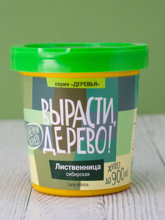 Набор для выращивания &quot;Лиственница сибирская&quot; 