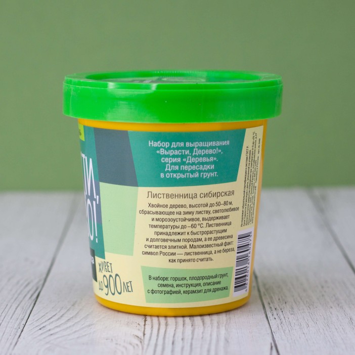 Набор для выращивания &quot;Лиственница сибирская&quot; 