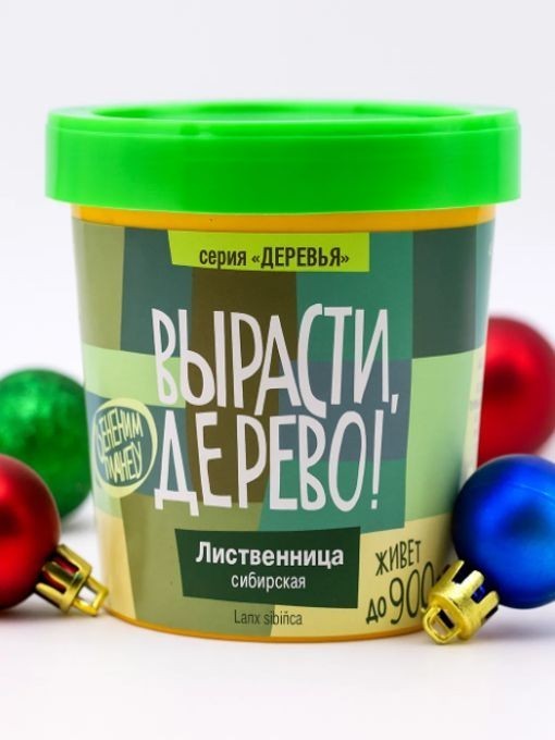 Набор для выращивания "Лиственница сибирская"