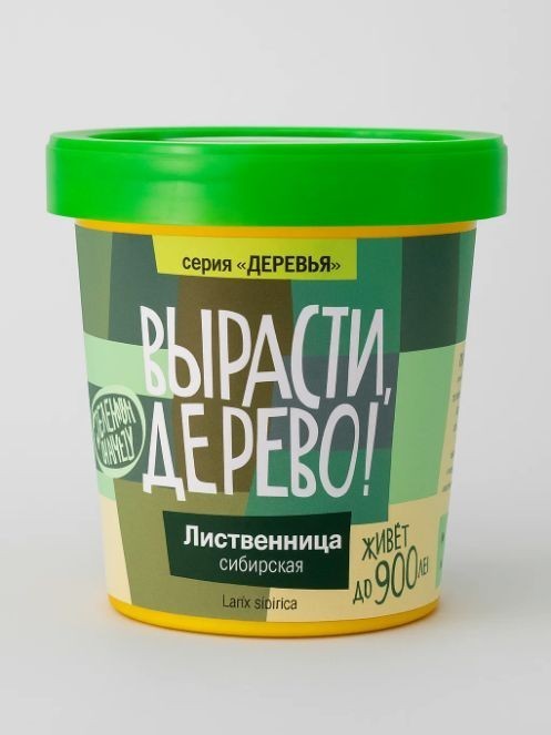 Набор для выращивания "Лиственница сибирская"