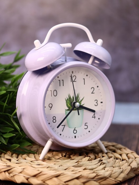 Часы-будильник «Cactus Time» (16,5х12,5 см) 