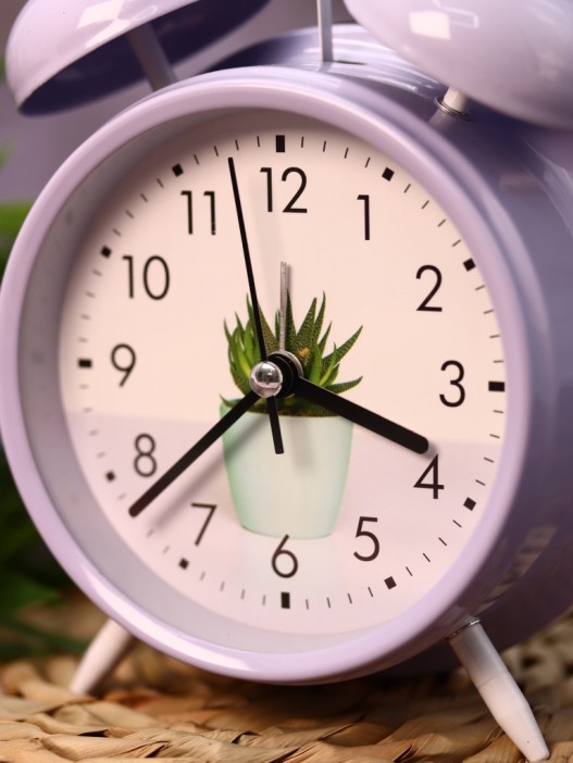 Часы-будильник «Cactus Time» (16,5х12,5 см) 