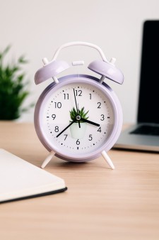 Часы-будильник «Cactus Time»