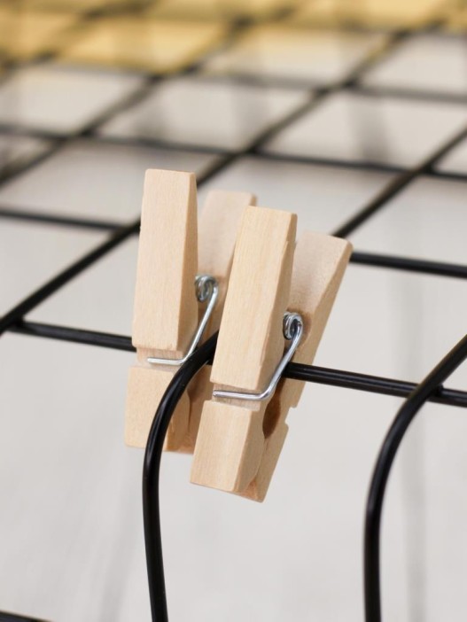 Прищепки ПО ПЛАНУ. &quot;Classic&quot;, nude 