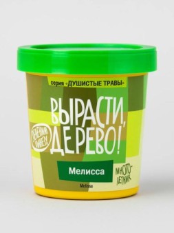 Набор для выращивания "Мелисса"